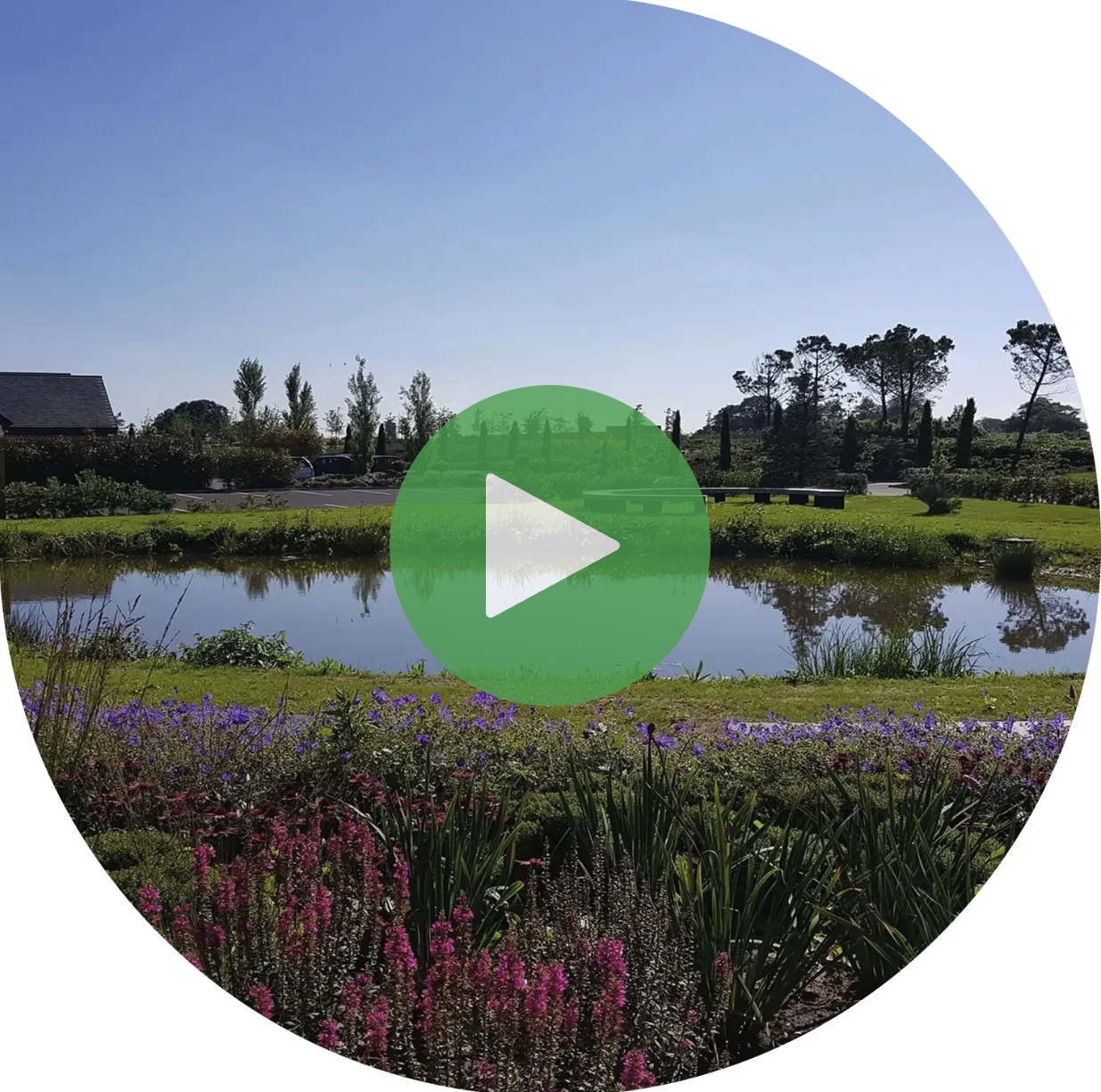 Birches Park Crematorium pond video thumbnail